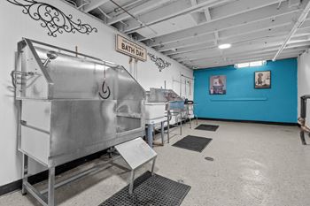 Pet wash station
